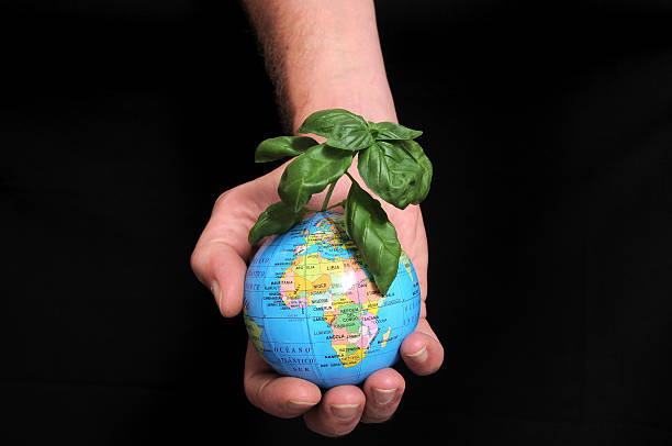 an hand holding a globe and plant on a black background